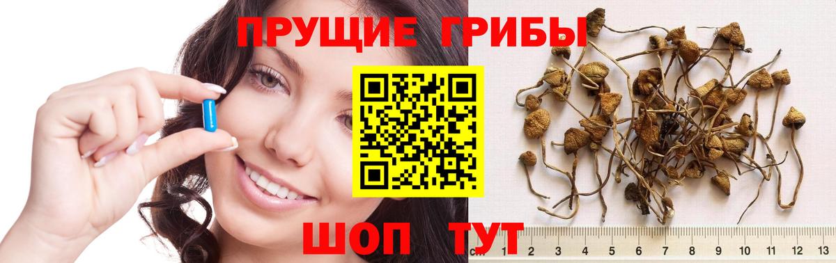 Галлюциногенные грибы мицелий Ангарск